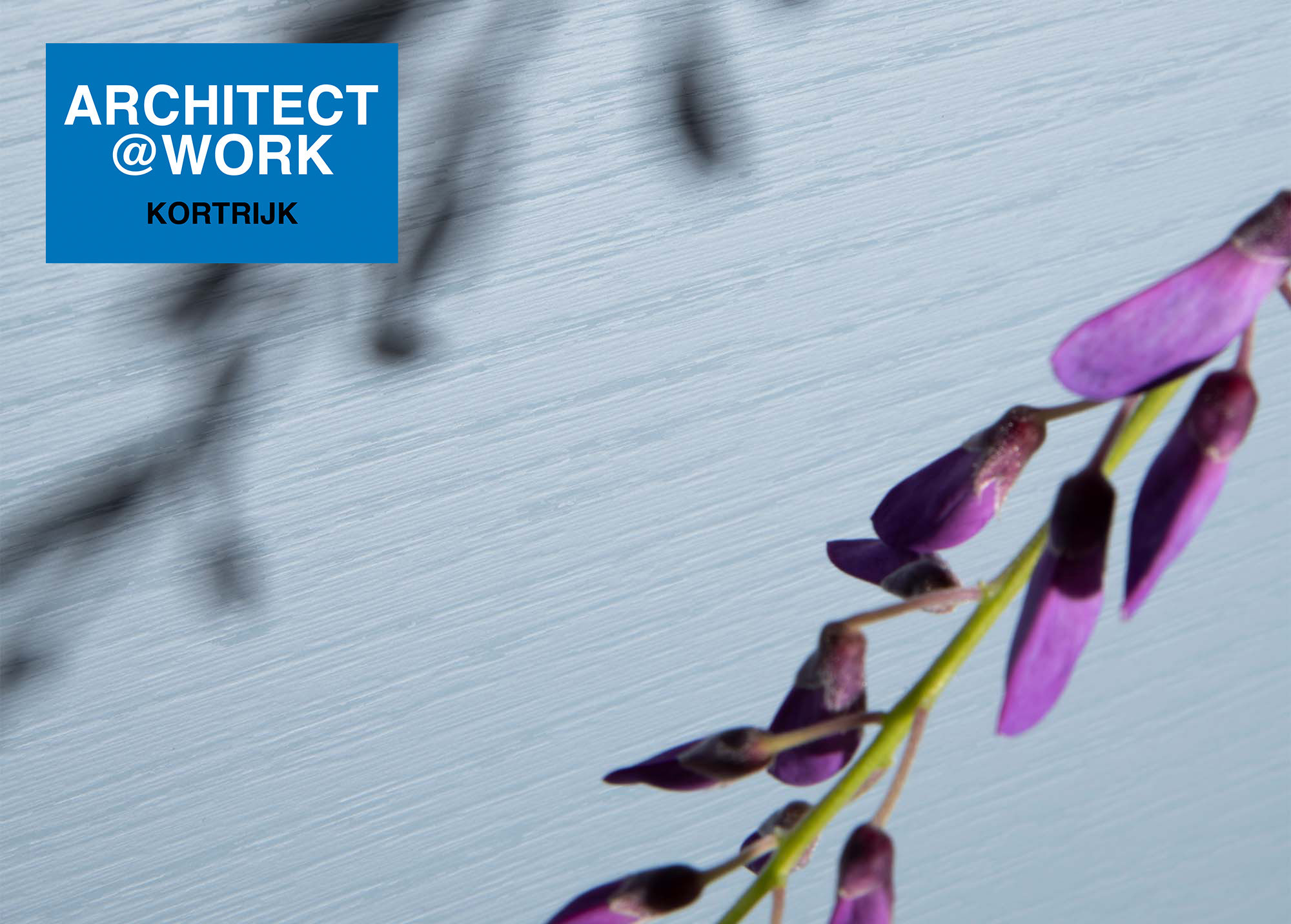 ABET_Slider-HP_Velwood-1